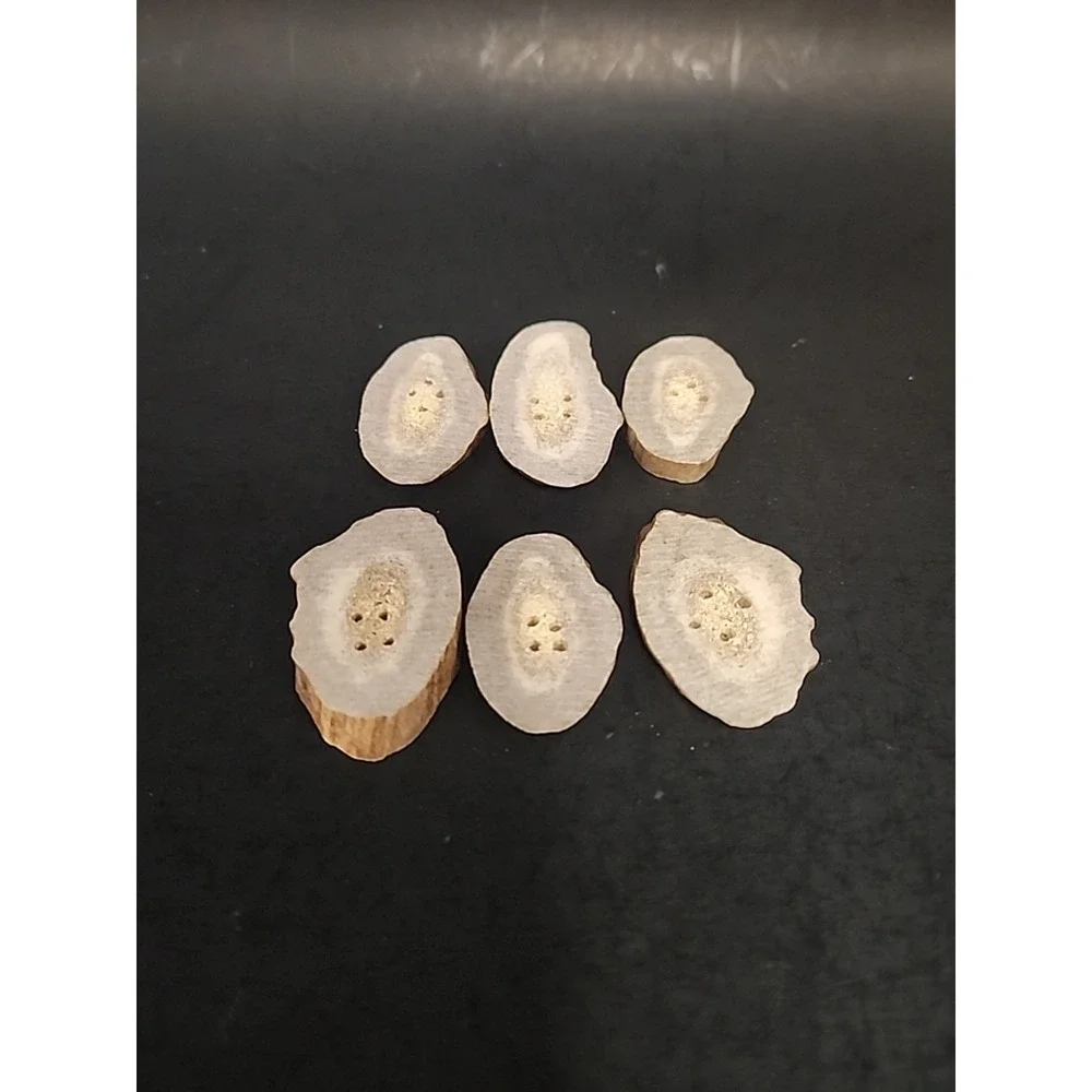 6 Piece Set Of Raw Antler Buttons 1.25